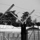 Dario Ferro Copyright - 03Robben Island